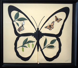 ButterflyProject-FINAL-8x10