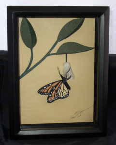 emerging-butterfly-framed