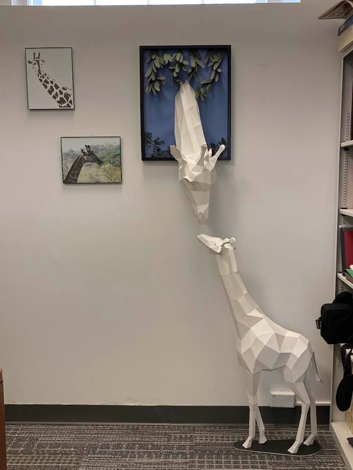 Image: Mama and baby giraffe installed in my office.
