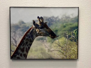 Image: giraffe paper cutting