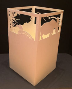 photo of Adirondacks paper lantern