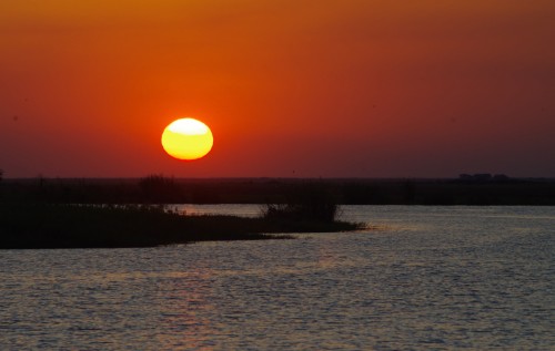 Chobe-sunset