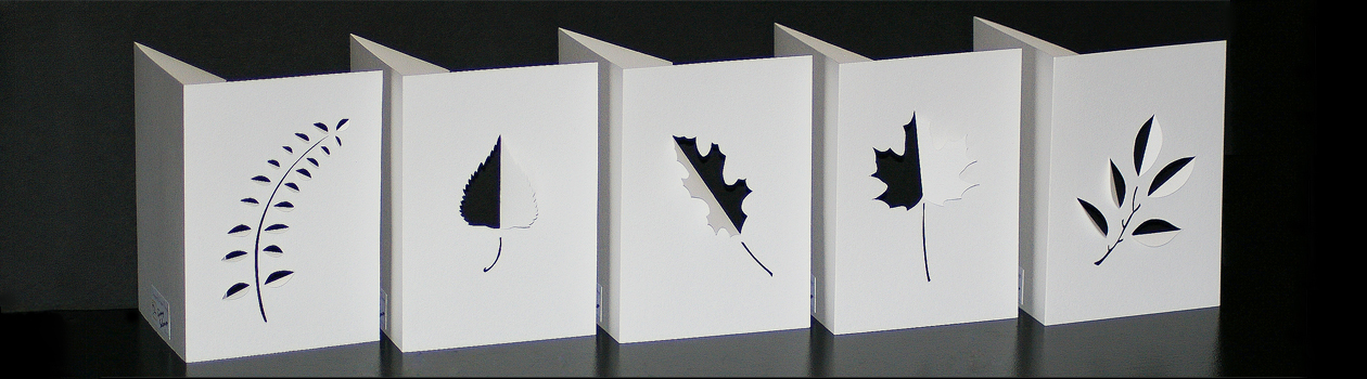 Folded Light: Elegantly Simple Note Cards