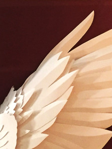 wing-detail